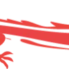 🐲