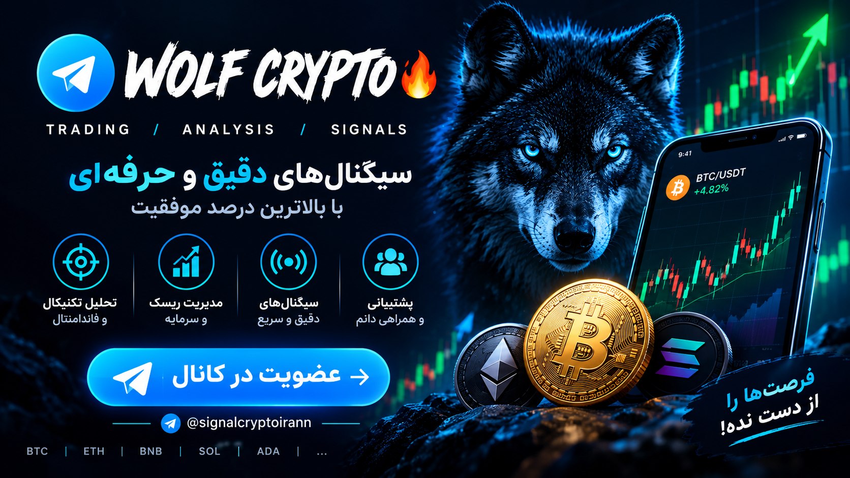 Wolf crypto 🔥