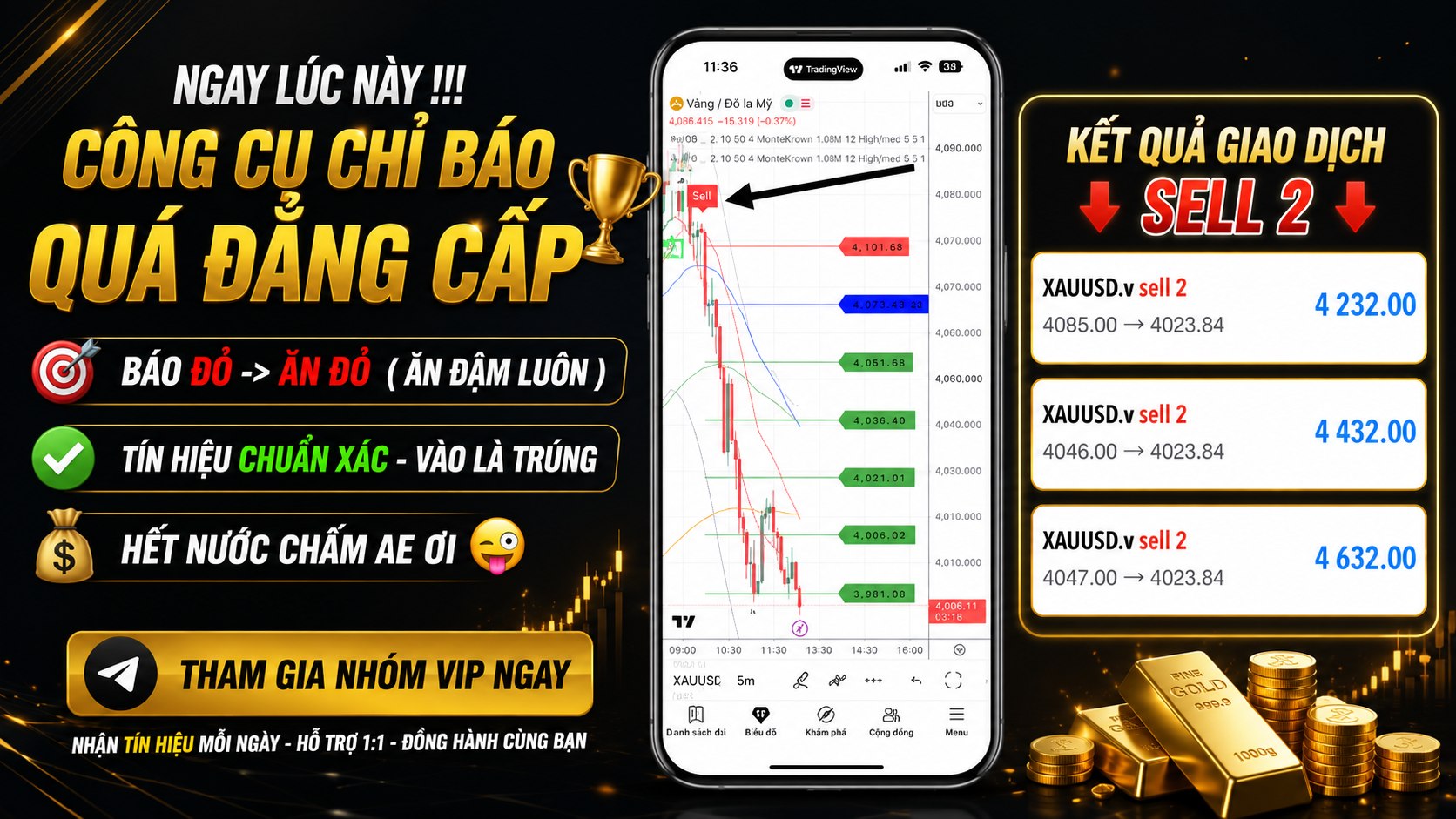 DaiLy | Gold Master VN