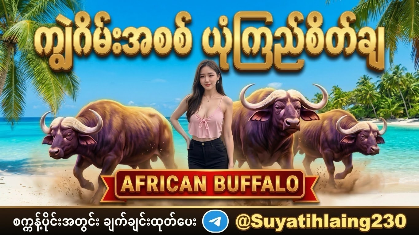 Su Yati Hlaing - အွန်လိုင်းဂိမ်းအေးဂျင့်