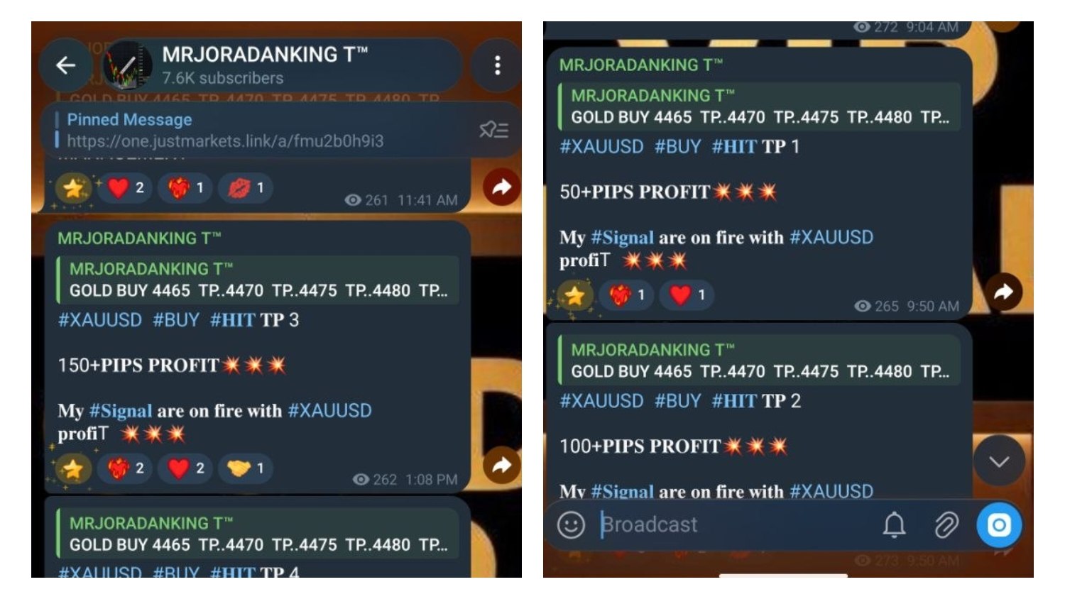 𝐆𝐎𝐋𝐃 𝐕𝐈𝐏 𝐒𝐈𝐆𝐍𝐀𝐋𝐒