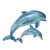 🐬