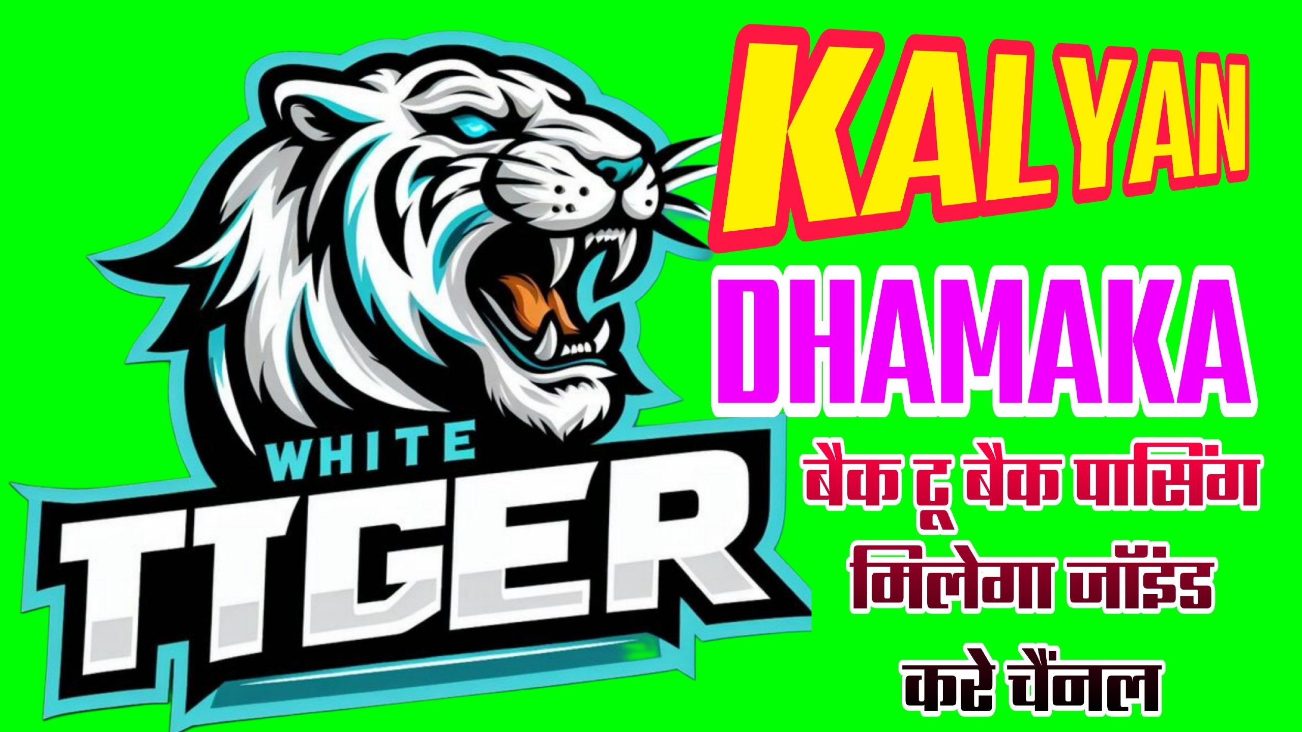 👉TIGER OFFICIAL KING👌