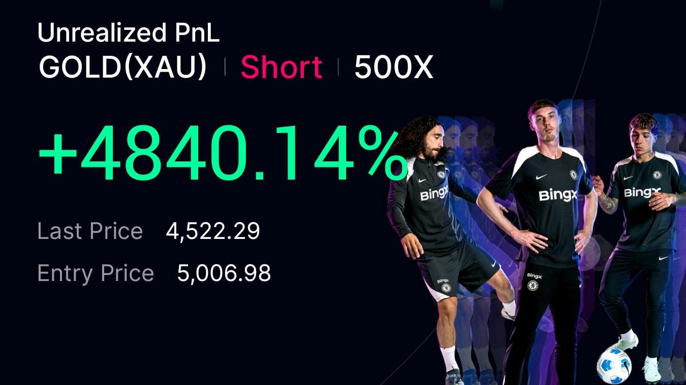 BULLS SIGNALS ALERT