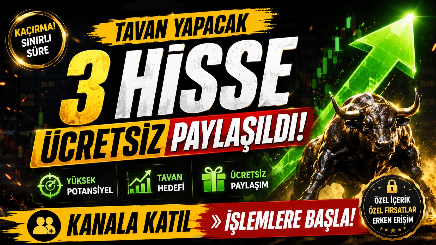 BALİNA TAKİP