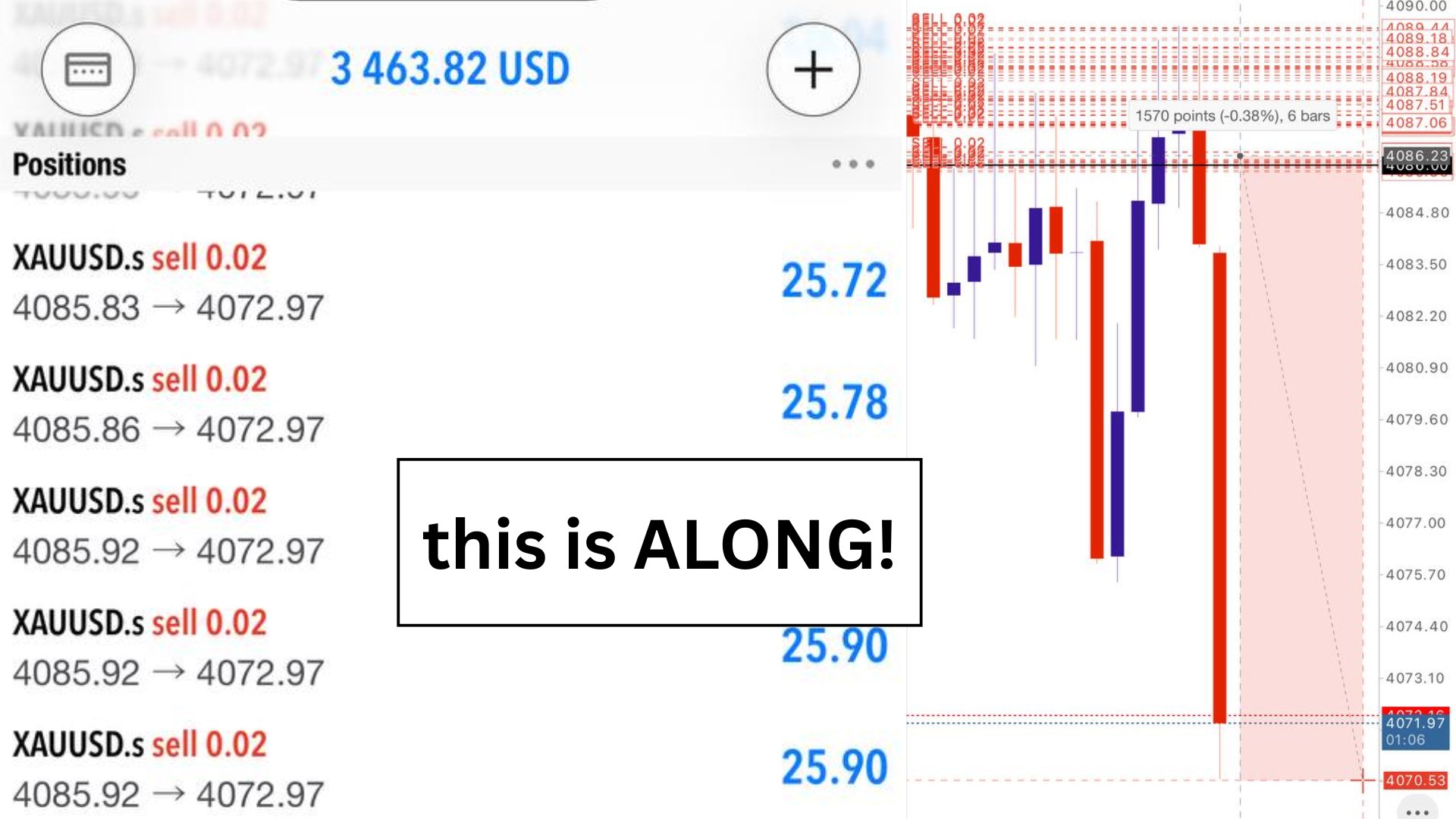 Along Gold Scalper