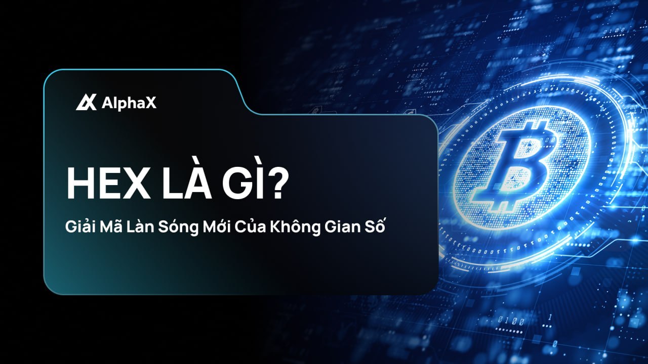 AlphaX Thông Báo Tiếng Việt