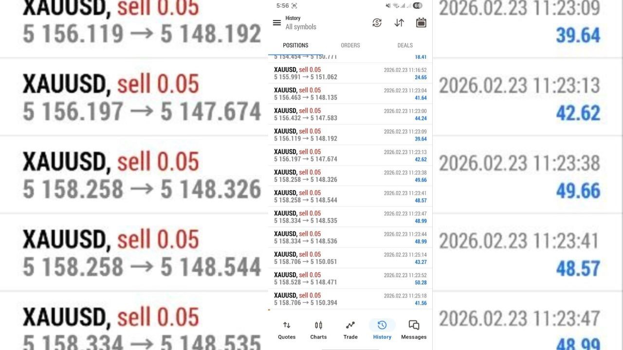 GOLD LIQUIDITY TRADER