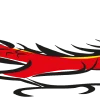 🐉