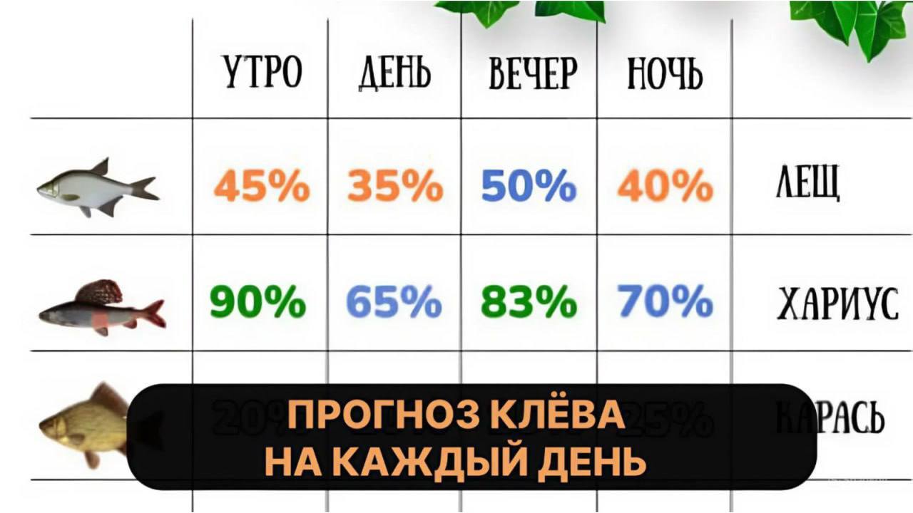 Рыбацкий канал | Рыбалка