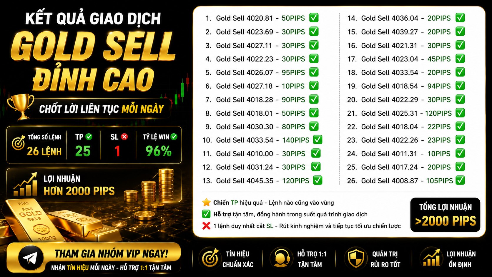 DaiLy | Gold Master VN