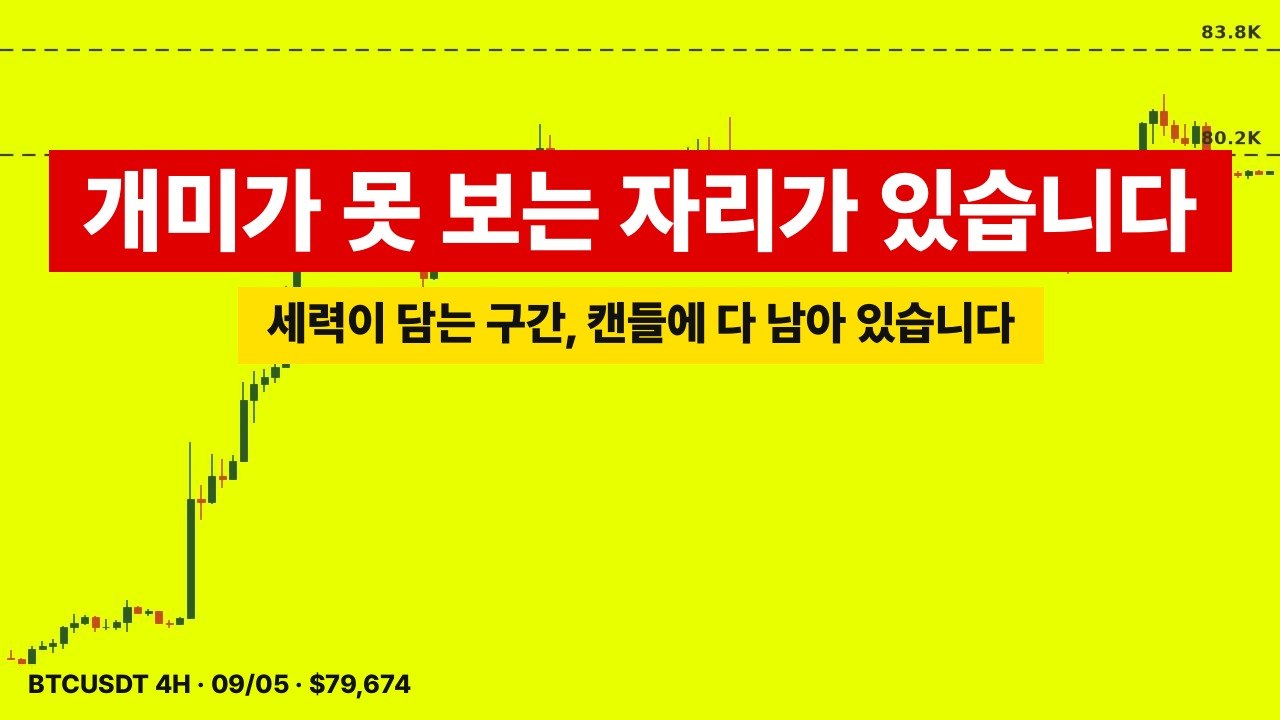 코바 인사이트