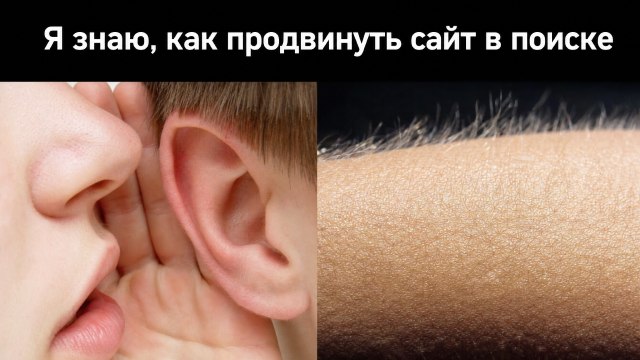 Мельник и Ерёма | Про органику и SEO