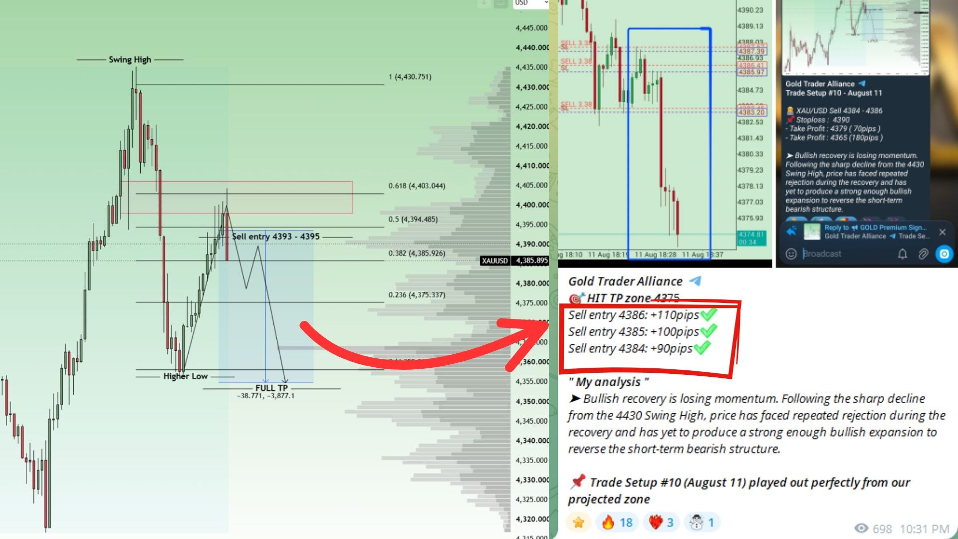 VIP Gold Trader Alliance