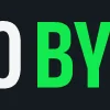 💸