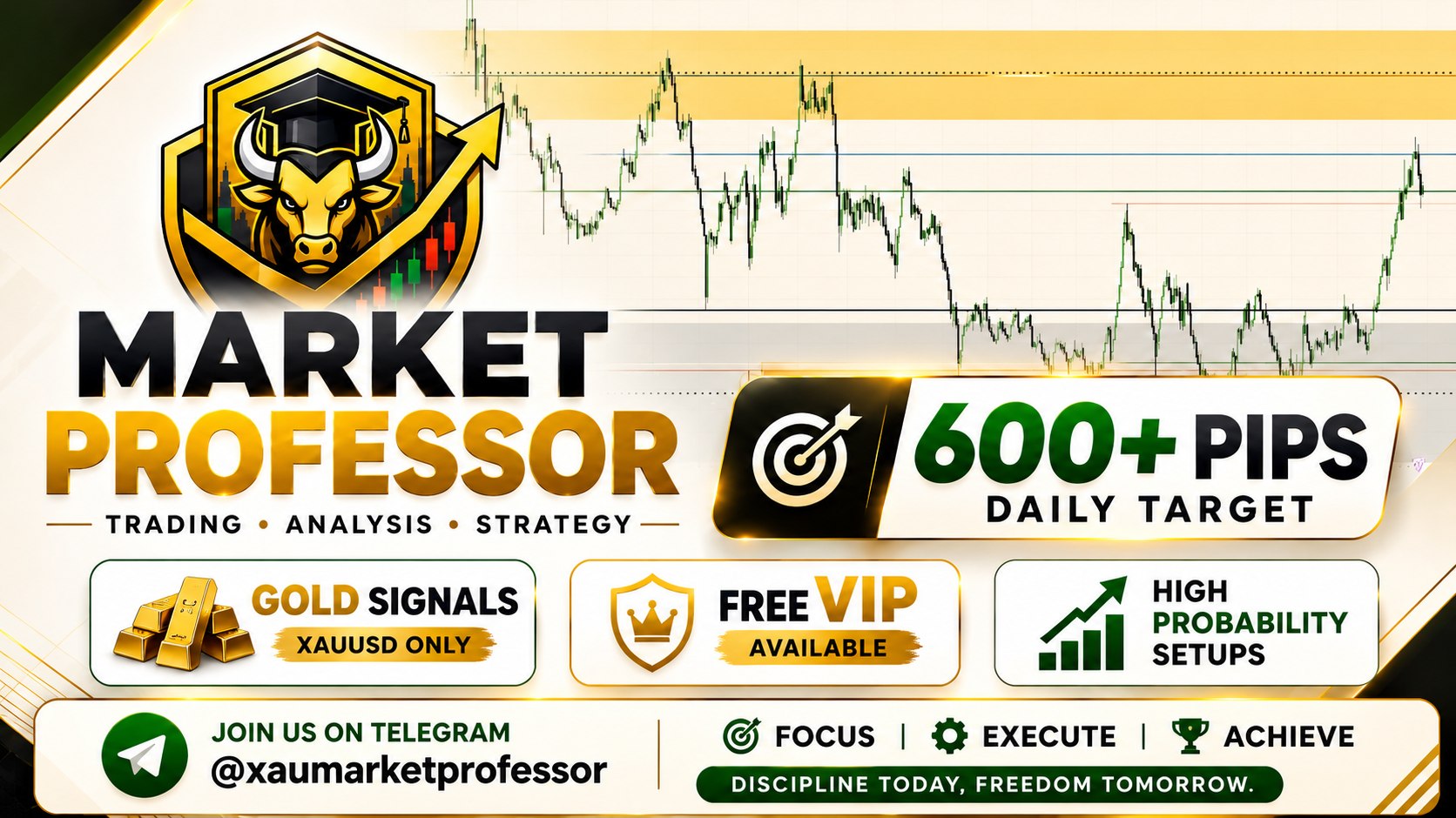 Market Professor