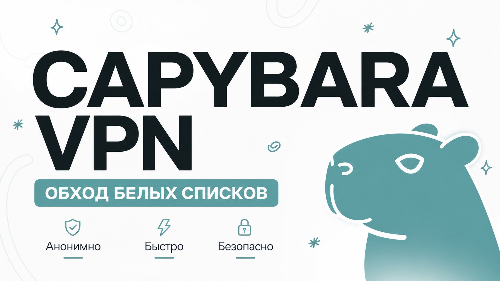 Capybara VPN | Happ | v2RayTun