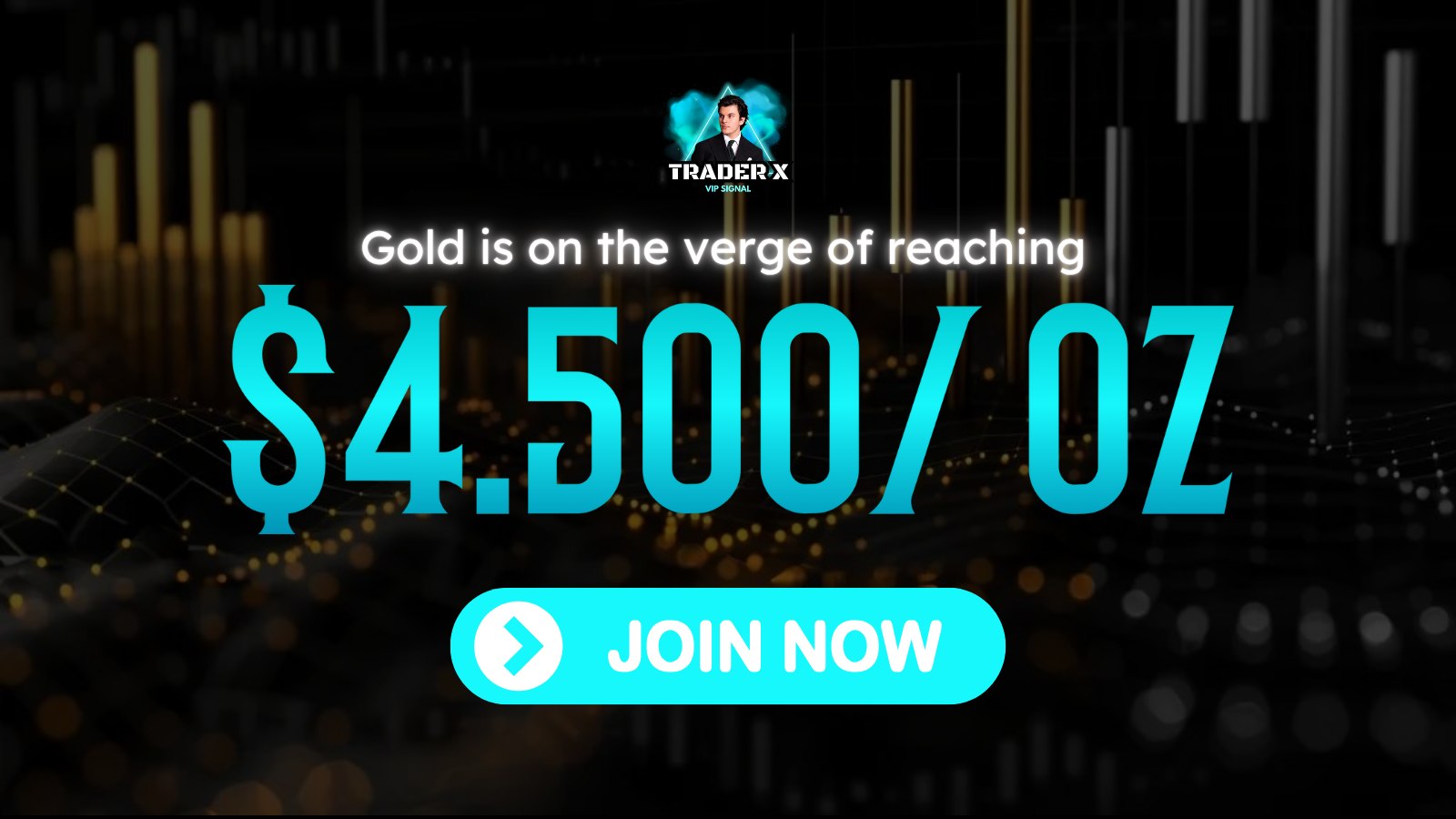 Michael Gold Insider 💰