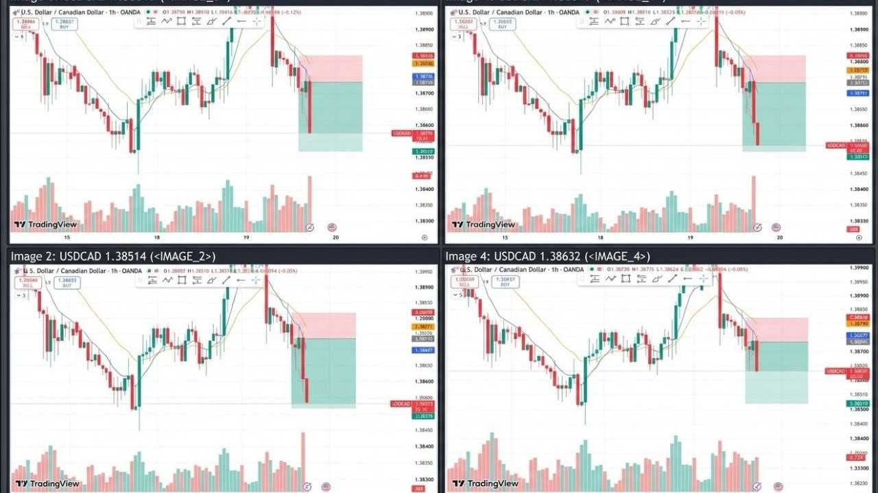 FOREX TRADER FA๐
