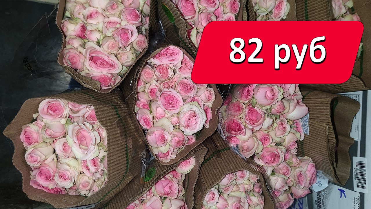 АРКУС | Цветы оптом | Закупка | Наличие 🌷