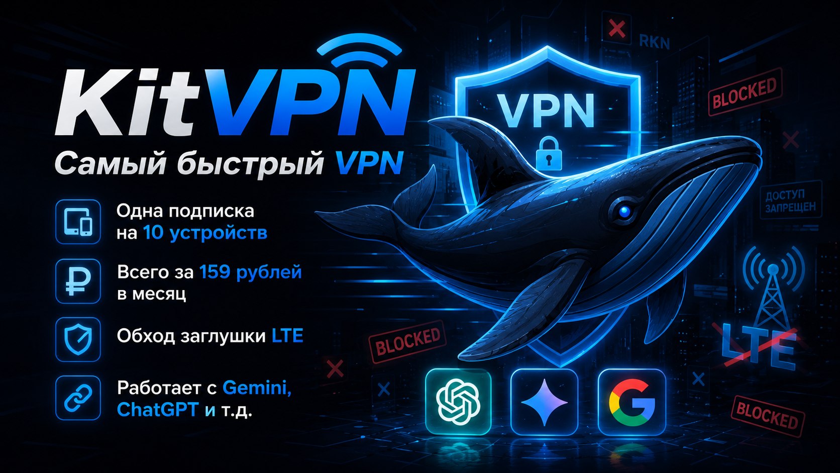 𝗞𝗶𝘁𝗩𝗣𝗡 🐋