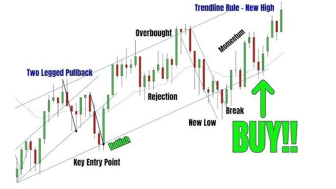 Shool of Traders