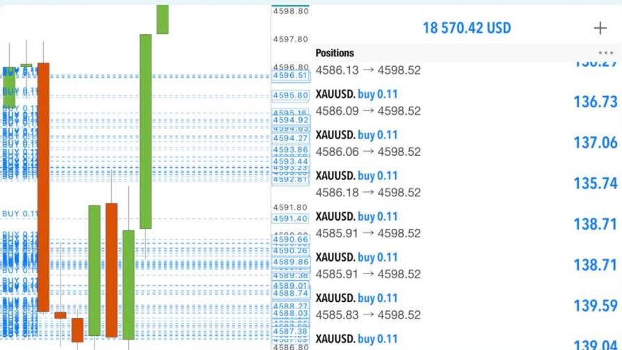 THE_TRADING_ZONE.forex