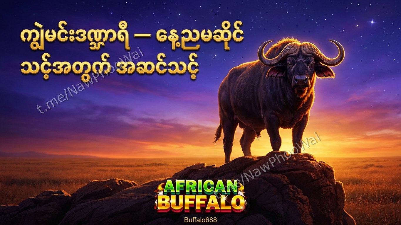 ⏰ ကျွဲဂိမ်း - နော်ဖူးဝေ 24 နာရီဝန်ဆောင်မှု