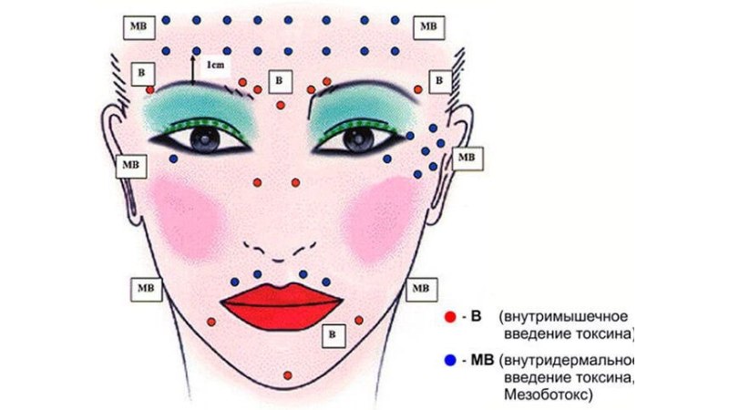 Обновленная программа БТА Full Face