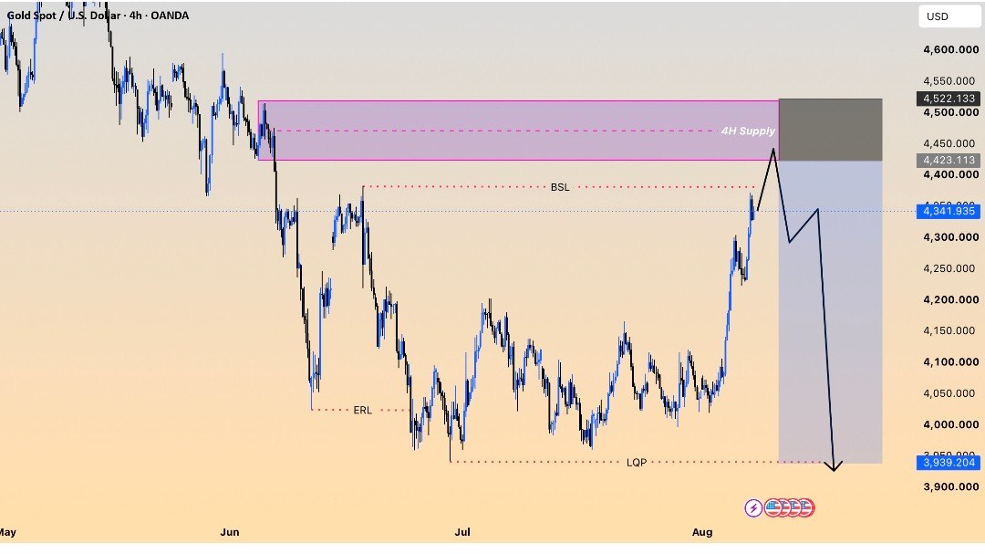 FOREX META BEAR