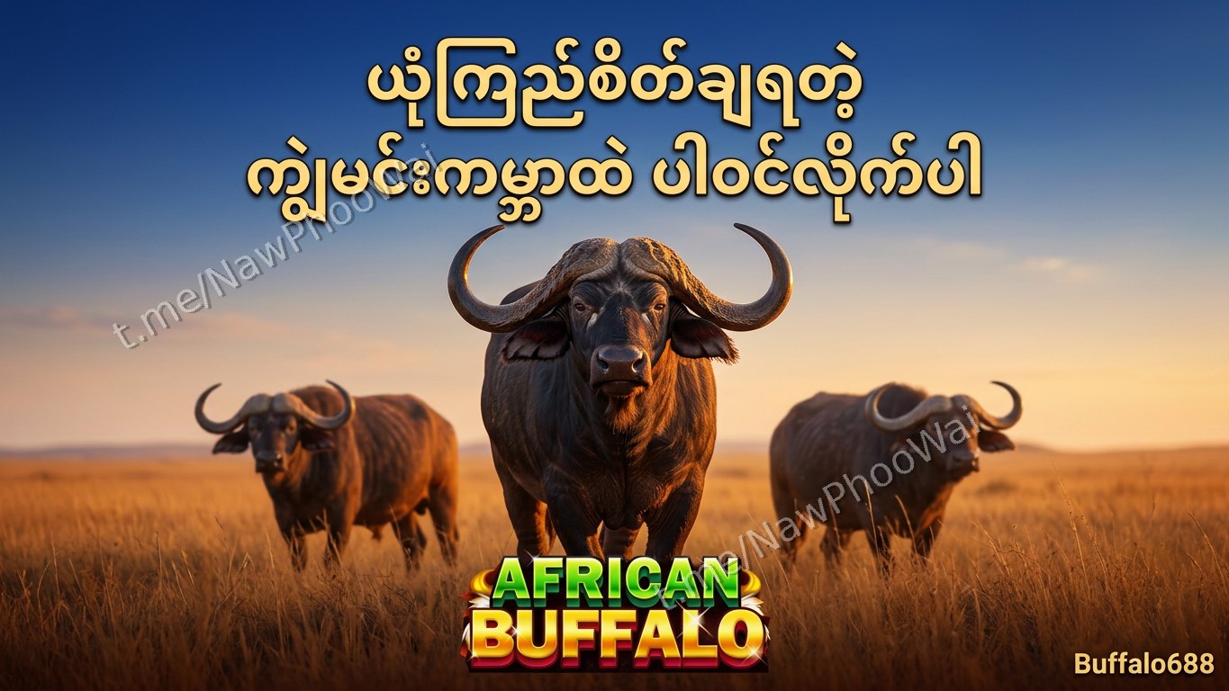 ⏰ ကျွဲဂိမ်း - နော်ဖူးဝေ 24 နာရီဝန်ဆောင်မှု